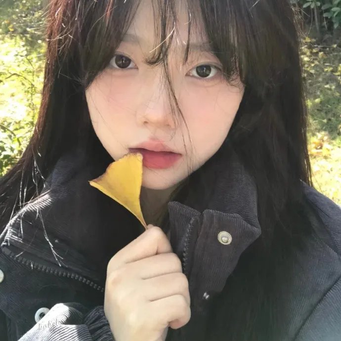 完美母亲